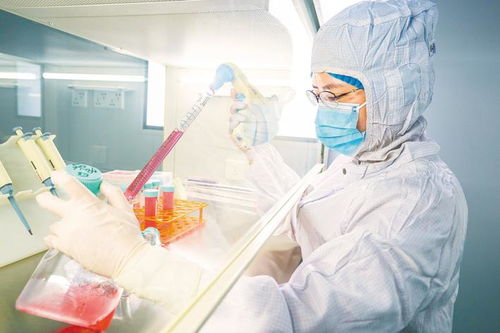 探索生物技術(shù)研發(fā)新路徑 東楚網(wǎng)的創(chuàng)新實(shí)踐與未來展望