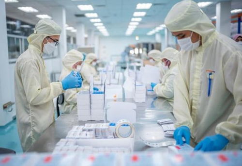 從芯片到生物醫(yī)藥 中美科技博弈的新前沿與生物技術(shù)研發(fā)的挑戰(zhàn)