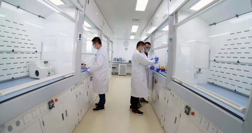 煙臺(tái)業(yè)達(dá)孵化中心入孵企業(yè)ADC新藥申報(bào)臨床，區(qū)域生物技術(shù)研發(fā)迎來新突破